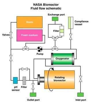 The schematic depicts the major elements and flow patterns inside the NASA... Foto stock