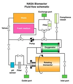 The schematic depicts the major elements and flow patterns inside the NASA .. Foto stock