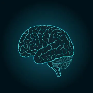 Schematic illustration of human brain on a blue background Stock Illustration