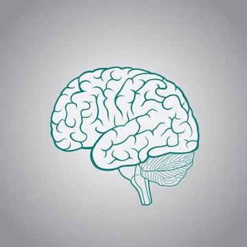 Schematic illustration of human brain on a light background 스톡 일러스트