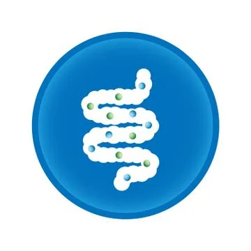 Schematic illustration of microflora in the intestine, vector icon Stock-Illustration