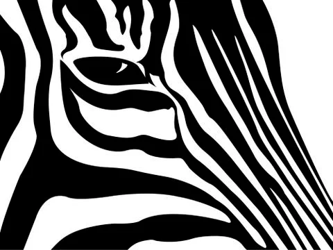 Schematic outline black and white Zebra 库存插图