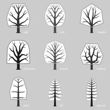Schematic set of typical European trees Stock Illustration
