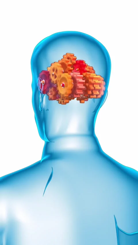 Schematic work of the brain Video stock 310323840