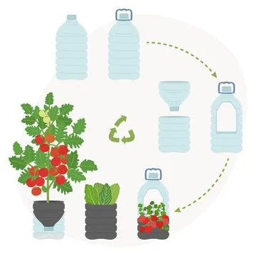 Scheme of DIY plastic bottle planters on white background. Vertical garden,.. Stock Illustration