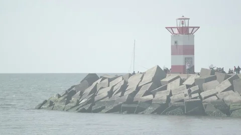 Scheveningen harbour Video stock 77875658