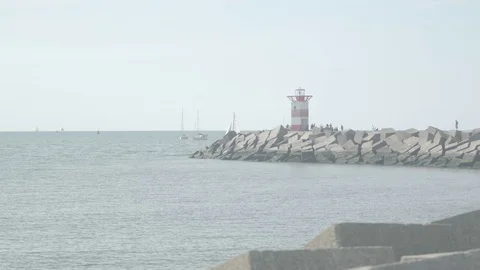 Scheveningen harbour Video stock 77876456