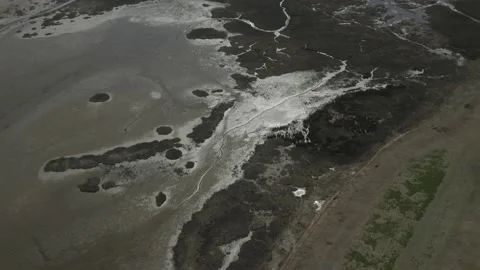 Schiermonnikoog #1 스톡 동영상 211711701