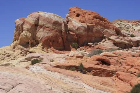 Schildkröte? Stock Photos