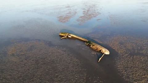 Schillig Beach Wreck Video stock 306548191