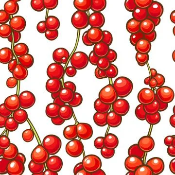 Schisandra berries vector pattern Stock Illustration