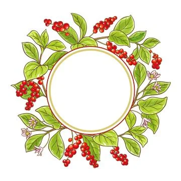 Schisandra branch vector frame Stock Illustration