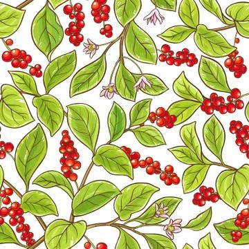 Schisandra branch vector pattern Stock Illustration
