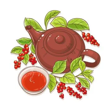 Schisandra tea illustration Stock Illustration