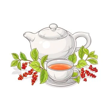 Schisandra tea illustration Stock Illustration