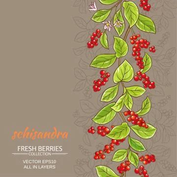 Schisandra vector background Stock-Illustration