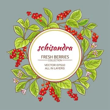 Schisandra vector frame Stock Illustration