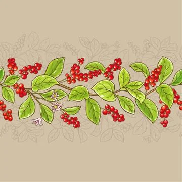 Schisandra vector pattern Stock Illustration