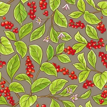 Schisandra vector pattern Stock Illustration
