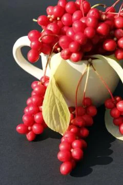 Schizandra in the cup on the black Stock Photos