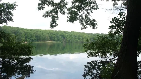 Schlachtensee (Lake) Stock Footage 78412752