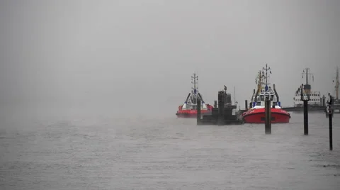 Schlepper im Nebel 스톡 동영상 57772750