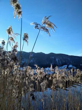 Schliersee Stock Photos