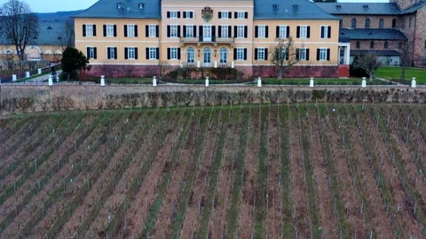Schloss Johannisberg Video stock 102732405