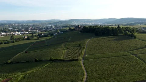 Schloss Johannisberg 動画素材 110759974