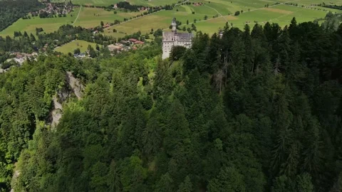 Schloss Neuschwanstein 5 Stockbeeldmateriaal 226378944