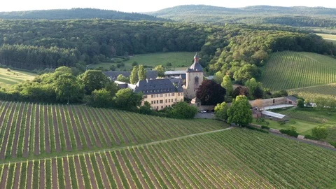 Schloss Vollrads Видео 110755380