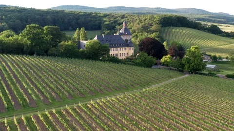 Schloss Vollrads Видео 110755533