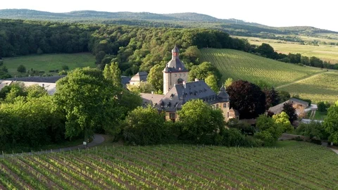 Schloss Vollrads Video stock 110758469