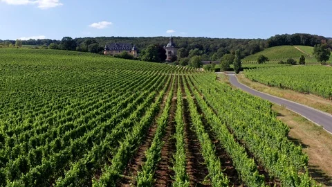 Schloss Vollrads 動画素材 114184073