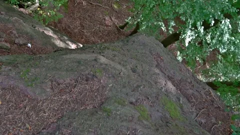 Schlucht at thüringer Wald in Germany Stock Footage 277255336