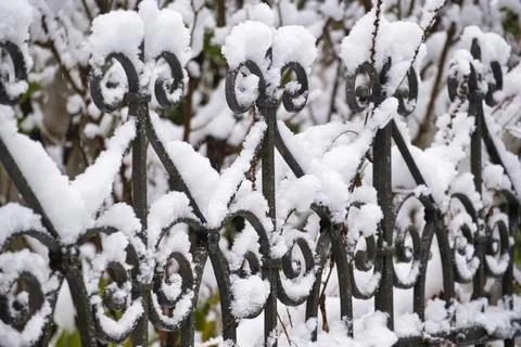 Schmiedeeiserner Gartenzaun mit Schnee bedeckt *** Wrought iron garden fen... Stock Photos