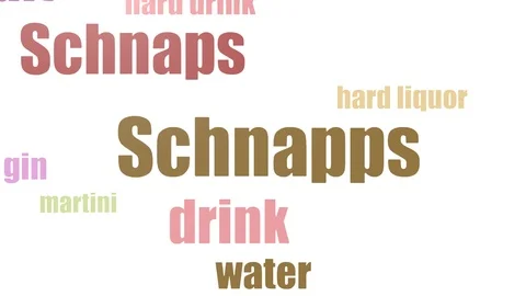 Schnapps Tagcloud Animated Isolated On White 스톡 동영상 107242321