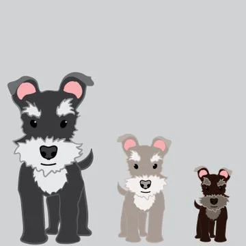 Schnauzer Stock Illustration