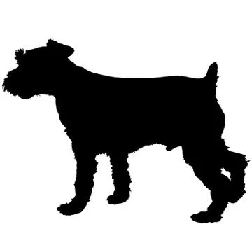 Schnauzer Silhouette Stock Illustration
