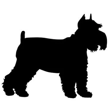 Schnauzer Silhouette Stock Illustration
