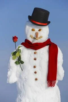 Schneemann als Liebhaber snowman with hat and rose as gentleman Copyright:... Stock Photos