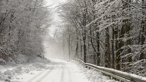 Schneewehen im Wald E Stock Footage 125898661