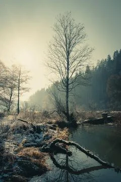 Schöne friedliche Winterszene mit einem Fluss, Schnee und Bäumen im Winter. Stock Photos