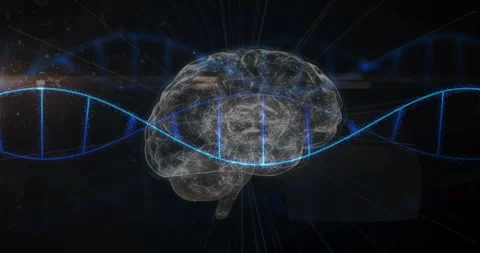 In school, animation of DNA intertwining with transparent brain for genetic Stock Footage 304646124