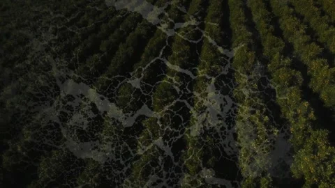 In school, animation showing abstract network pattern over lush green fields Stock Footage 305119114
