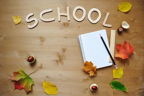 School autumn background Stock Photos