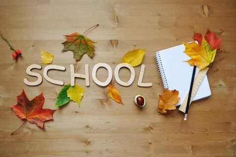 School autumn background Stock Photos