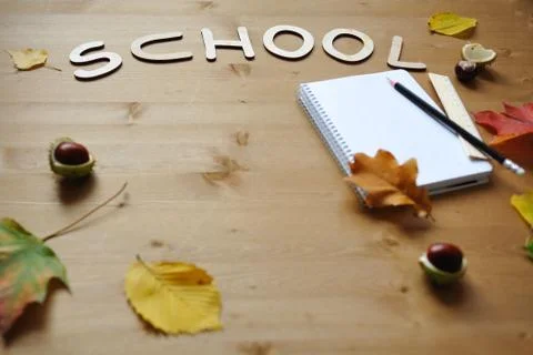School autumn background Foto stock