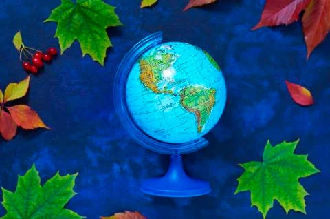 School background from globe and colored autumn leaves Stock Photos