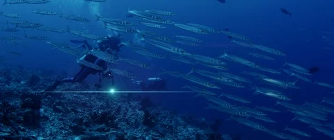 A school of Bigeye barracuda, divers behind the fishes, Maldives Video stock 119316342